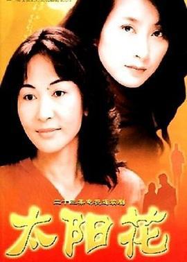 太阳花 (2002)海报
