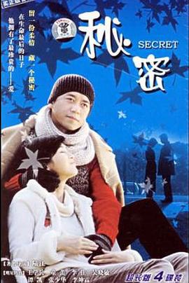 秘密 (2006)海报