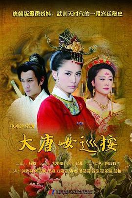 大唐女巡按 (2011)海报