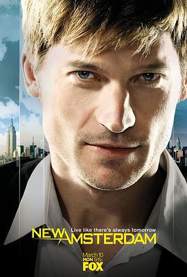 纽约传奇 New Amsterdam (2008)海报