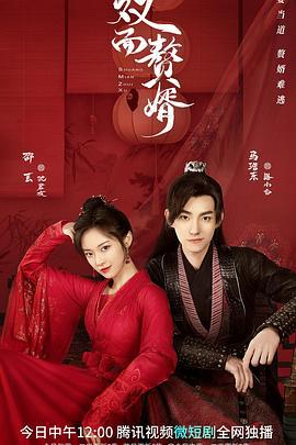 双面赘婿 (2022)海报