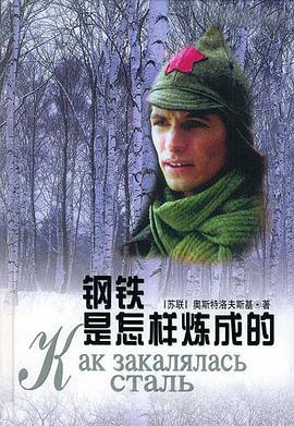 钢铁是怎样炼成的 (2000)海报