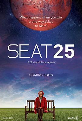 座位25 Seat 25 (2017)海报