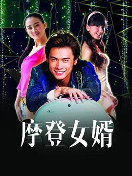 摩登女婿 (2012)海报