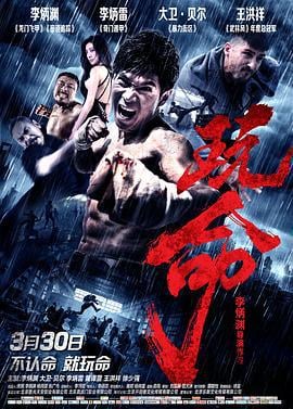 玩命 (2018)海报