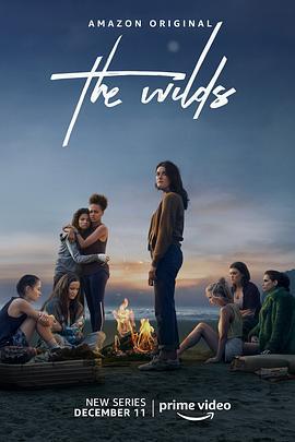 荒野 第一季 The Wilds Season 1 (2020)海报