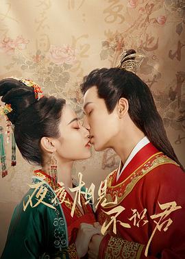 夜夜相见不识君 (2023)海报