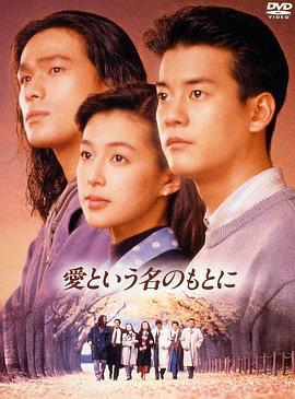 在爱的名义下 爱という名のもとに (1992)海报